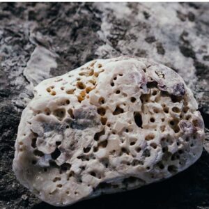 da-giat-da-bot-pumice-stone-da-nui-lua