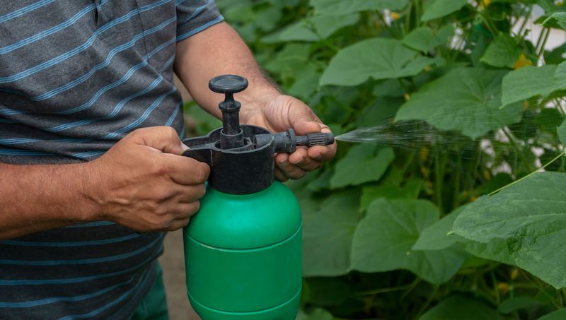 dam-ure-co-thanh-phan-chinh-la