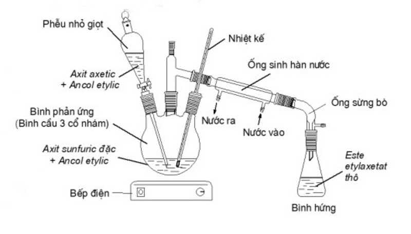 Ethyl Acetate Công Thức Cấu Tạo