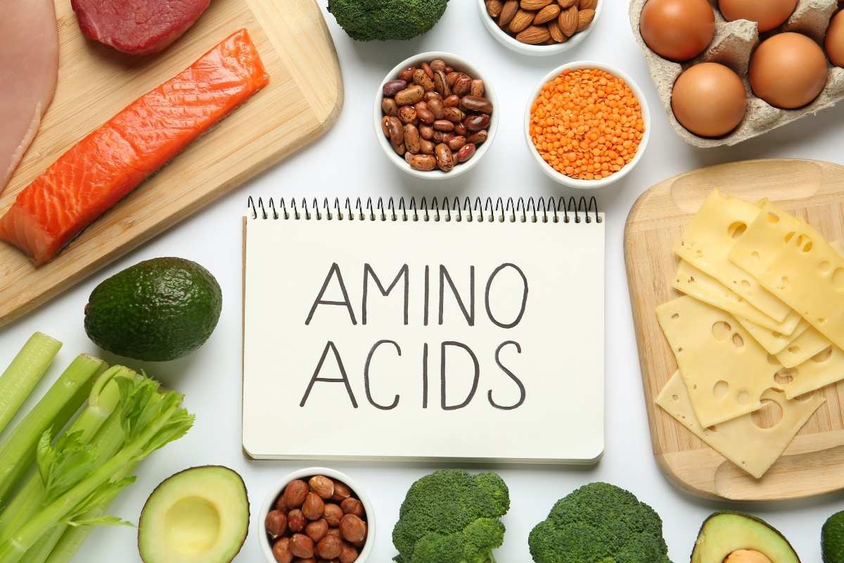 Amino Axit