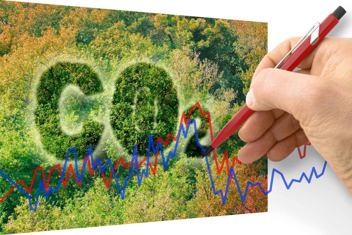 Khí Co2 Sinh Ra Từ đâu