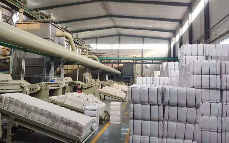 Methyl Cellulose