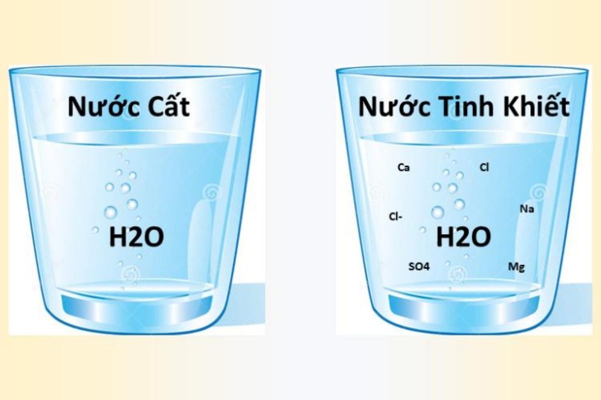 Nước Cất Mua ở đâu