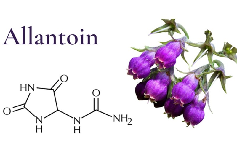 Allantoin
