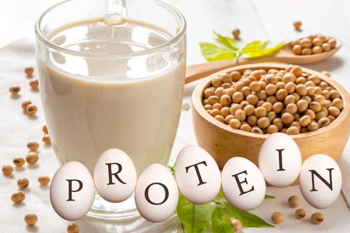 đạm đậu Nành Có Tác Dụng Gì