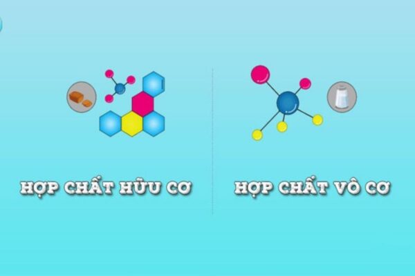 Hợp Chất Hữu Cơ Là Gì