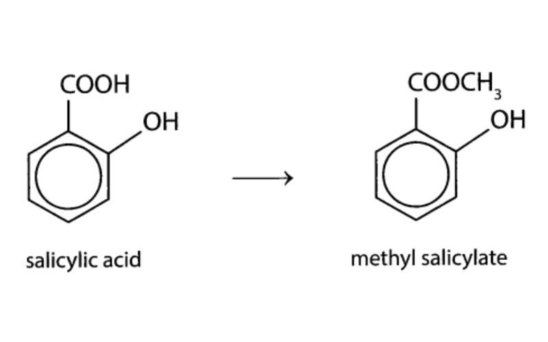 Methyl Salicylate Thuộc Hợp Chất Hữu Cơ đa Chức