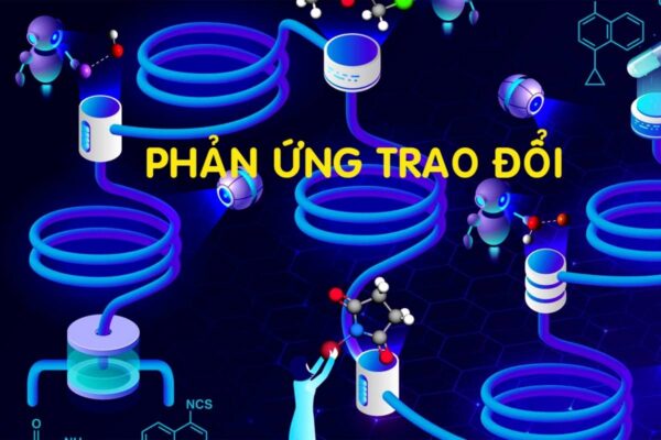 Phản ứng Trao đổi Là Gì