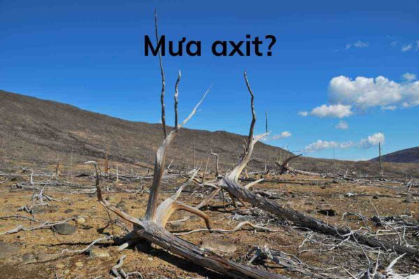 Phương Trình Mưa Axit