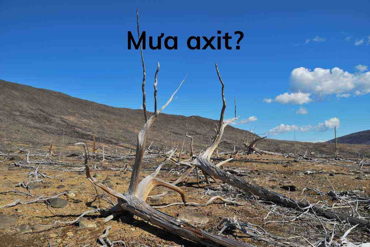 Phương Trình Mưa Axit