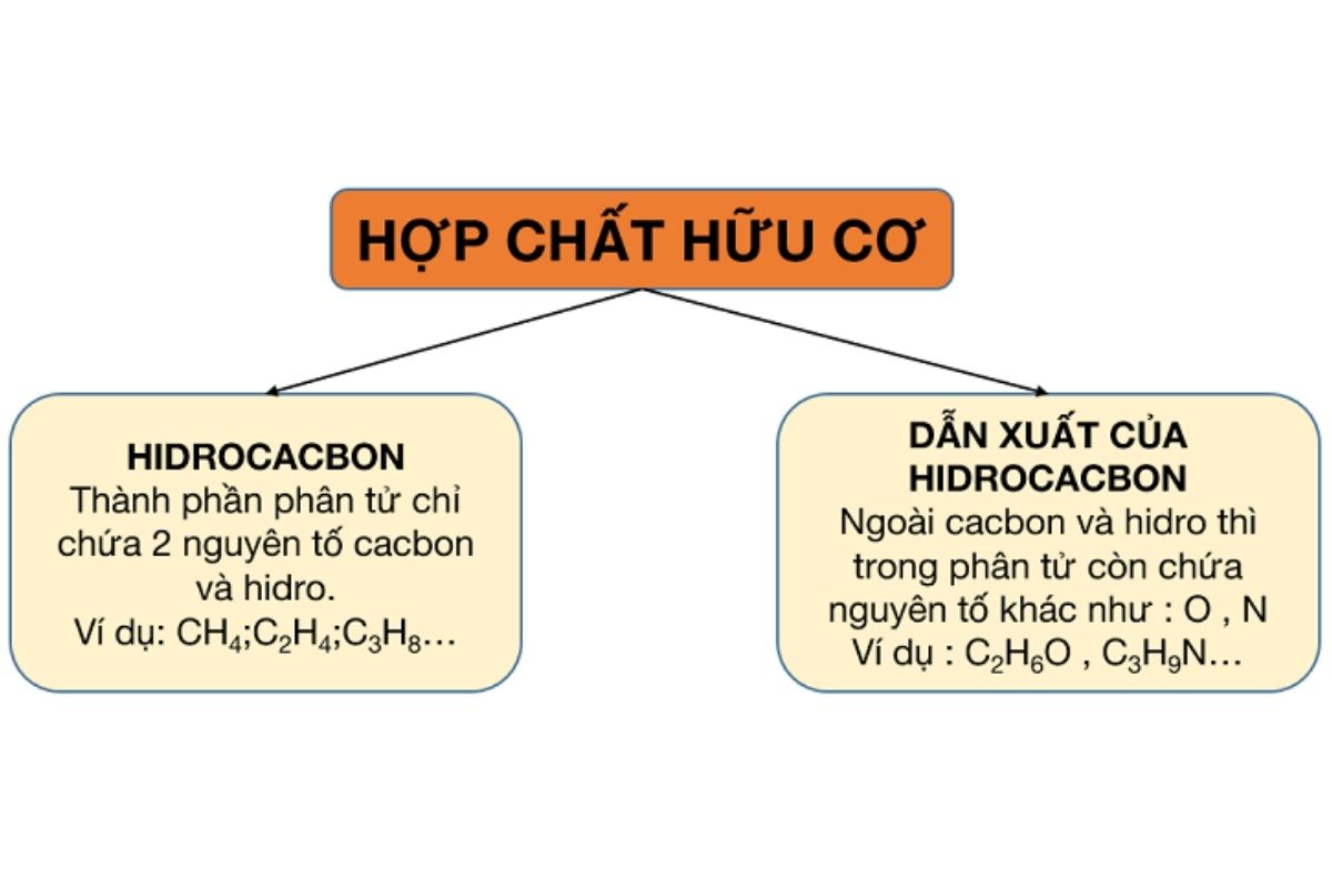 Thành Phần Các Nguyên Tố Trong Hợp Chất Hữu Cơ