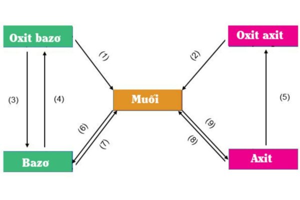 Ví Dụ Về Hợp Chất Vô Cơ Và Hữu Cơ