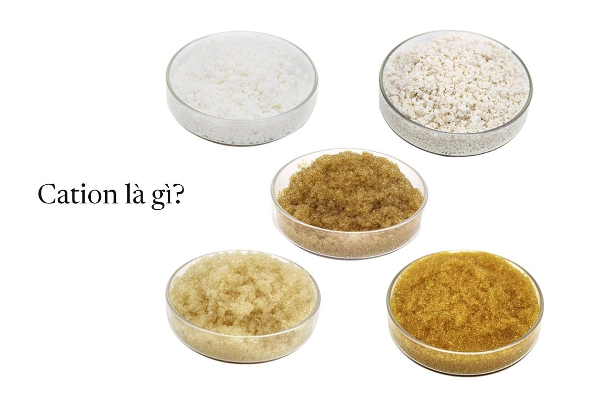 Cation Ion