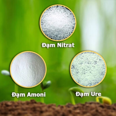 Công Thức Hóa Học Của Phân đạm Nitrat
