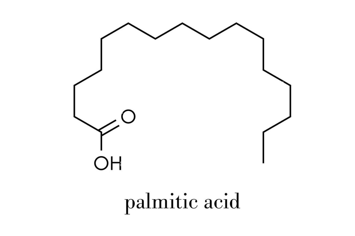Công Thức Palmitic Acid