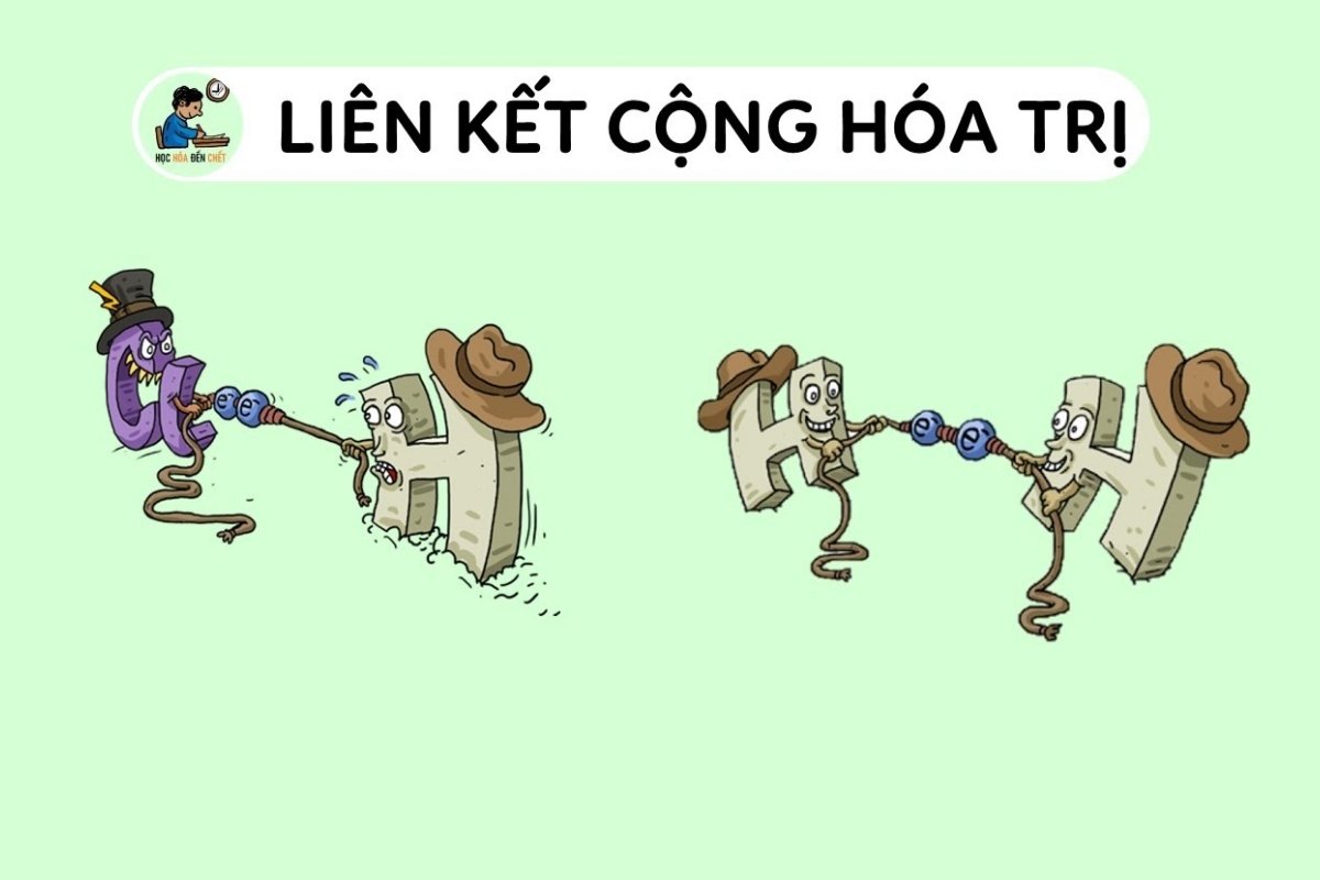 Liên Kết Cộng Hóa Trị Là Gì