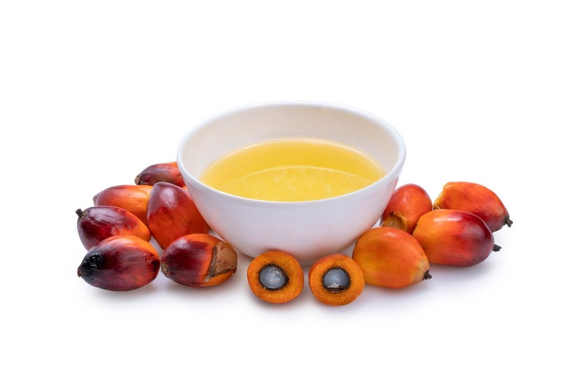 Palmitic Acid Là Gì