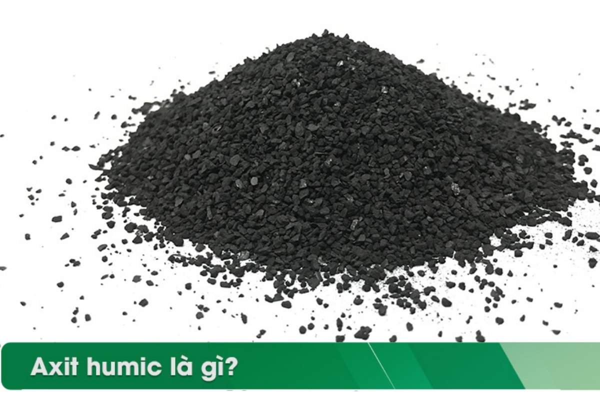 1-axit-humic-la-gi