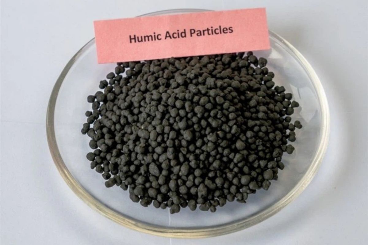 3-axit-humic-tieu-chuan