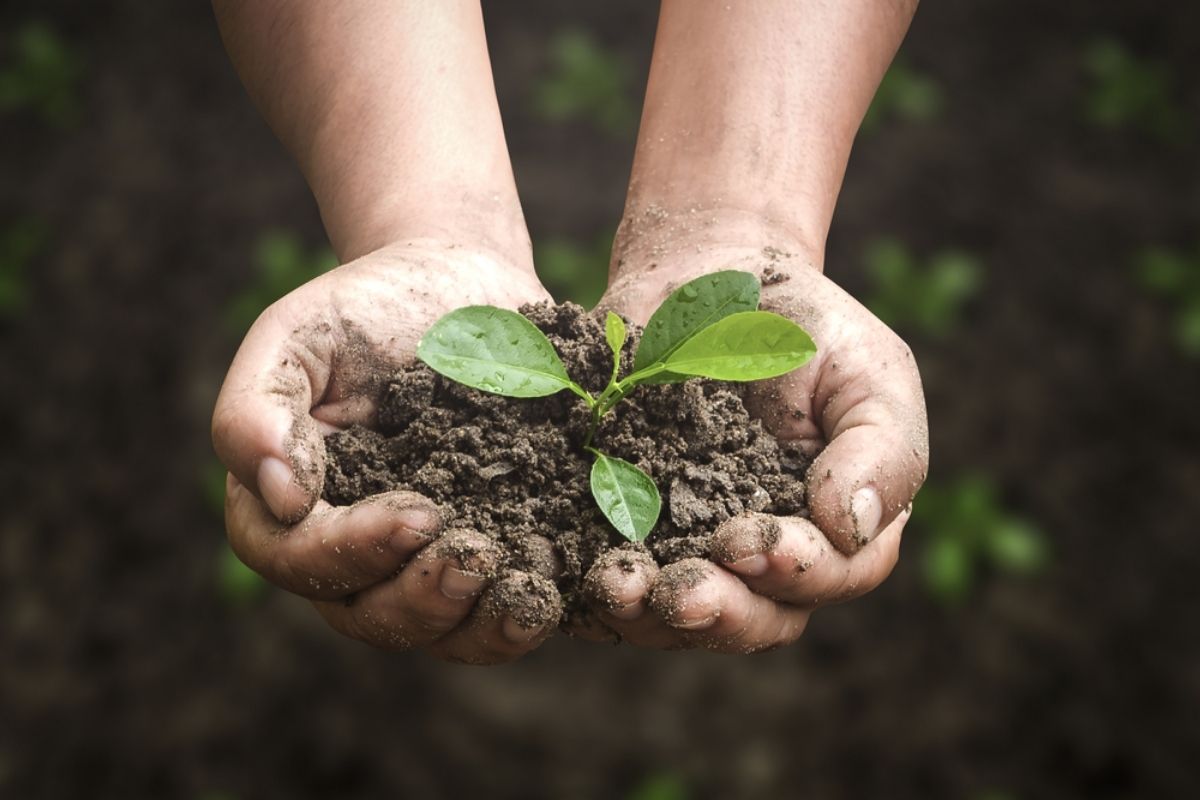 4-axit-humic-ung-dung