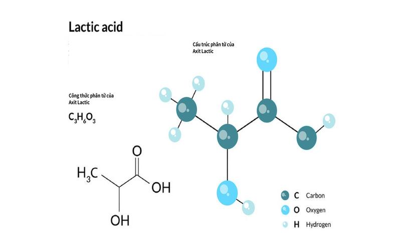 Acid được Sử Dụng Trong Chế Biến