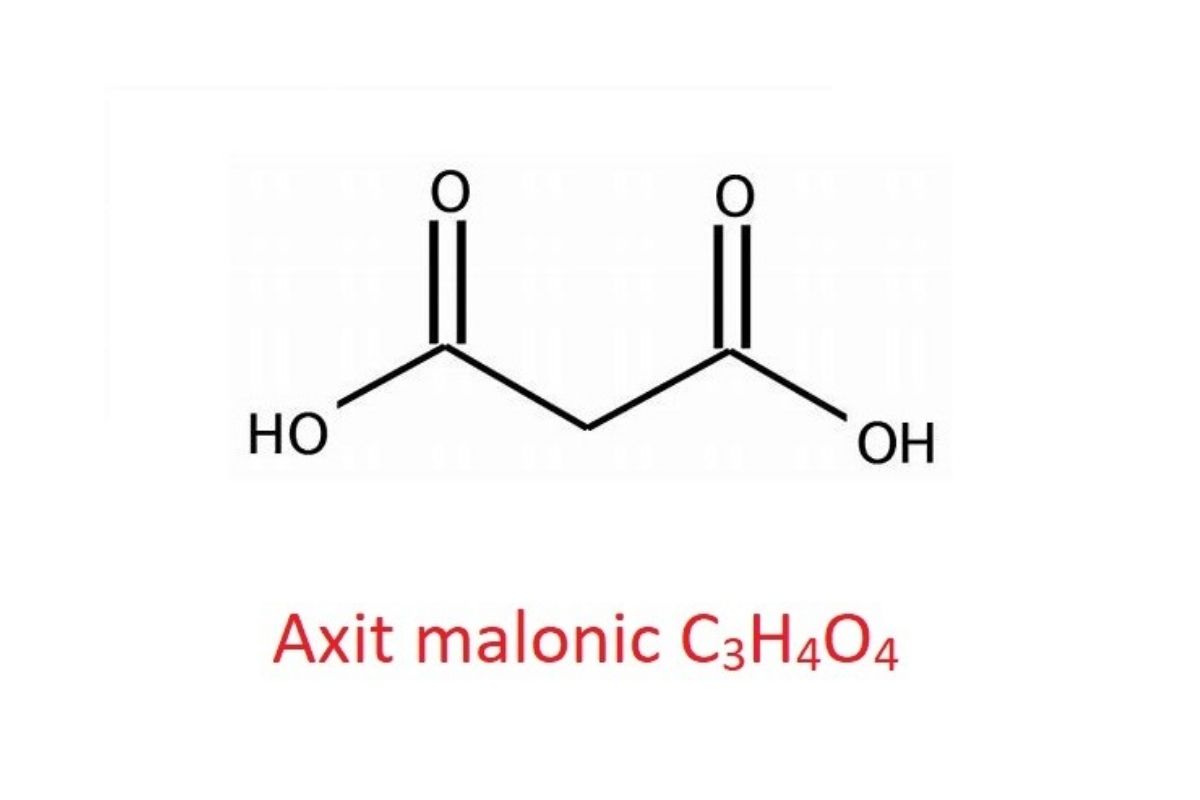 Axit Malonic