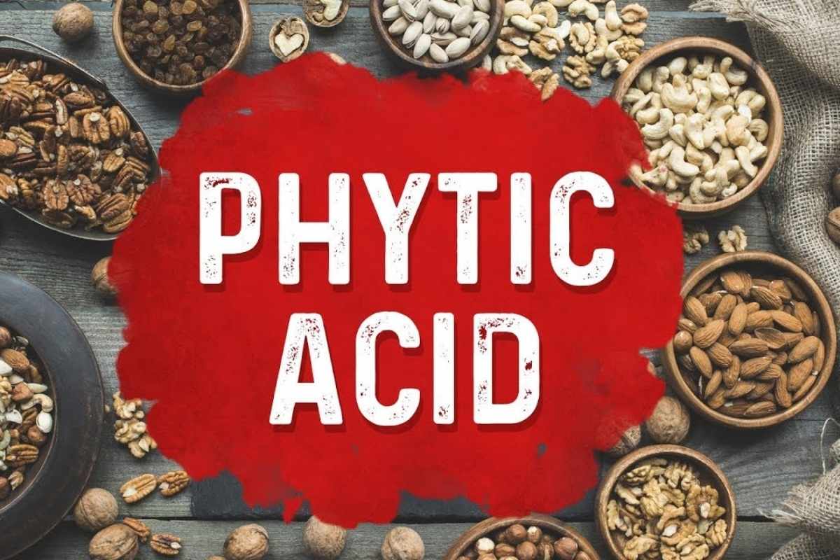 Axit Phytic Là Gì