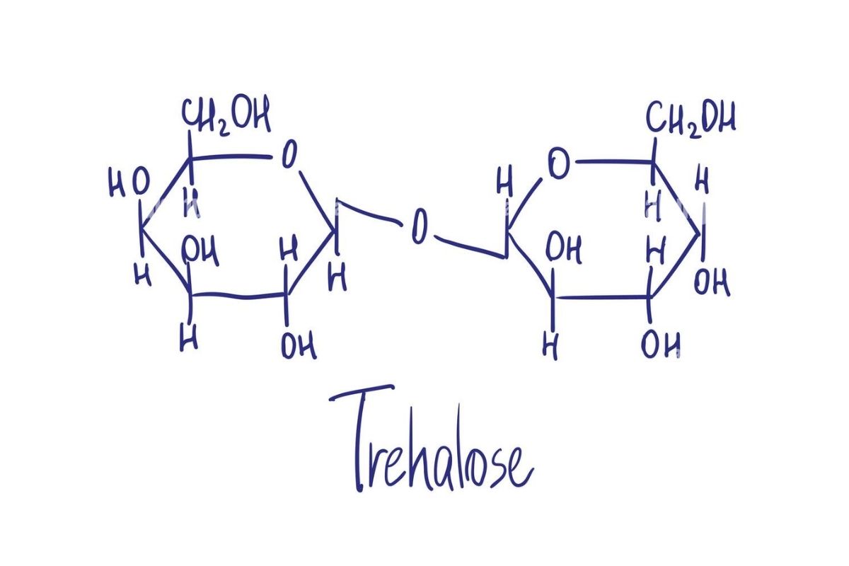đường Trehalose Là Gì