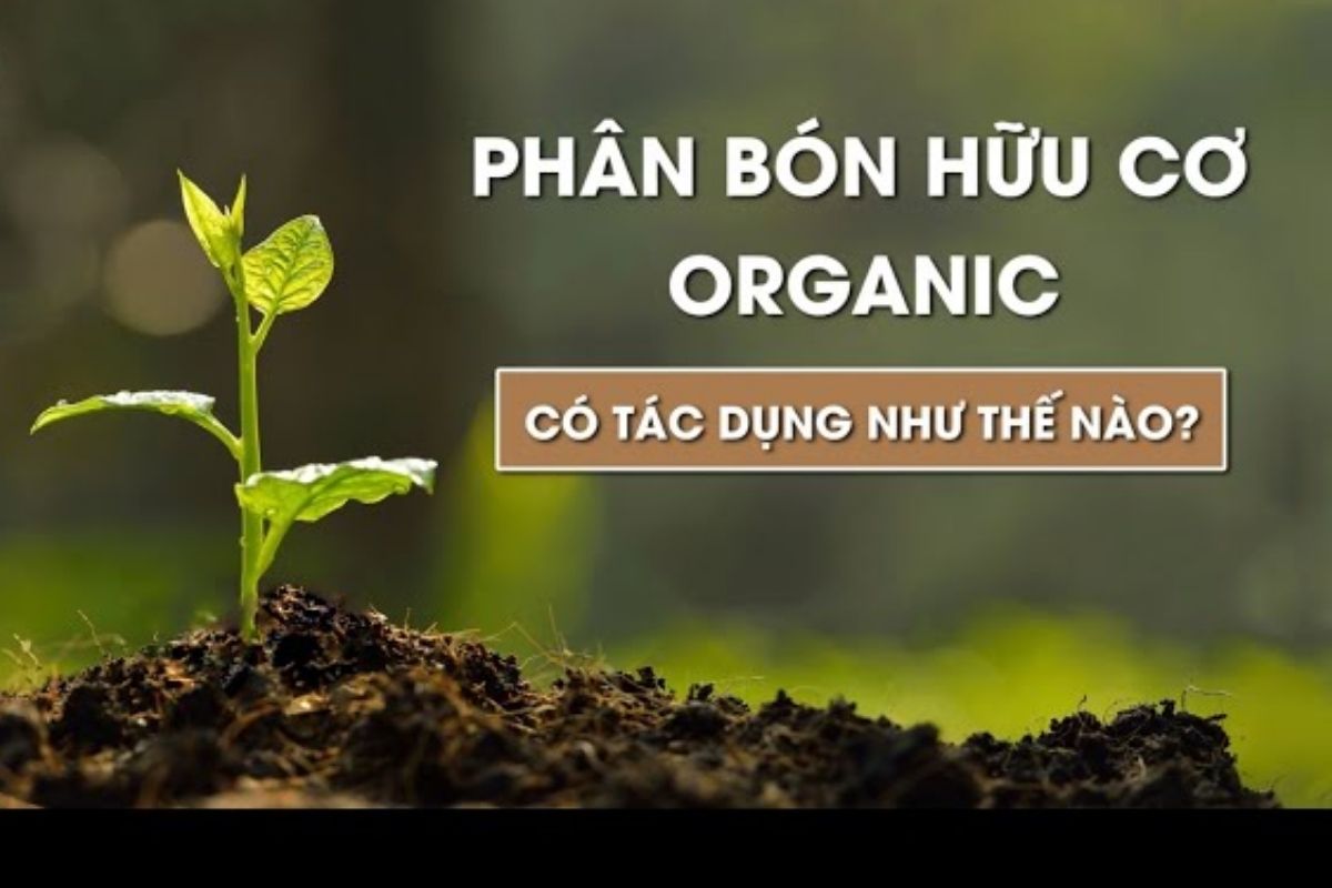 Organic Gap