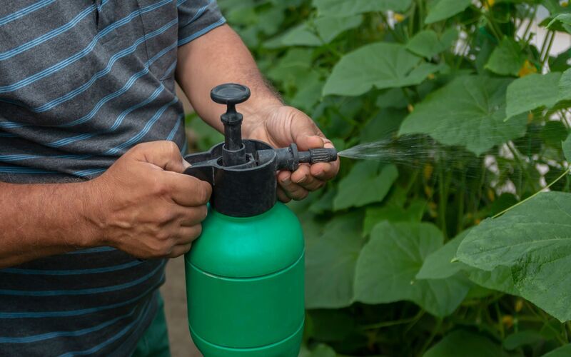 Phan-bon-la-chua-cac-chat-dinh-duong-thiet-yeu-cho-cay