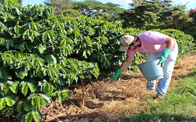 Phân Bón Lá Vi Lượng