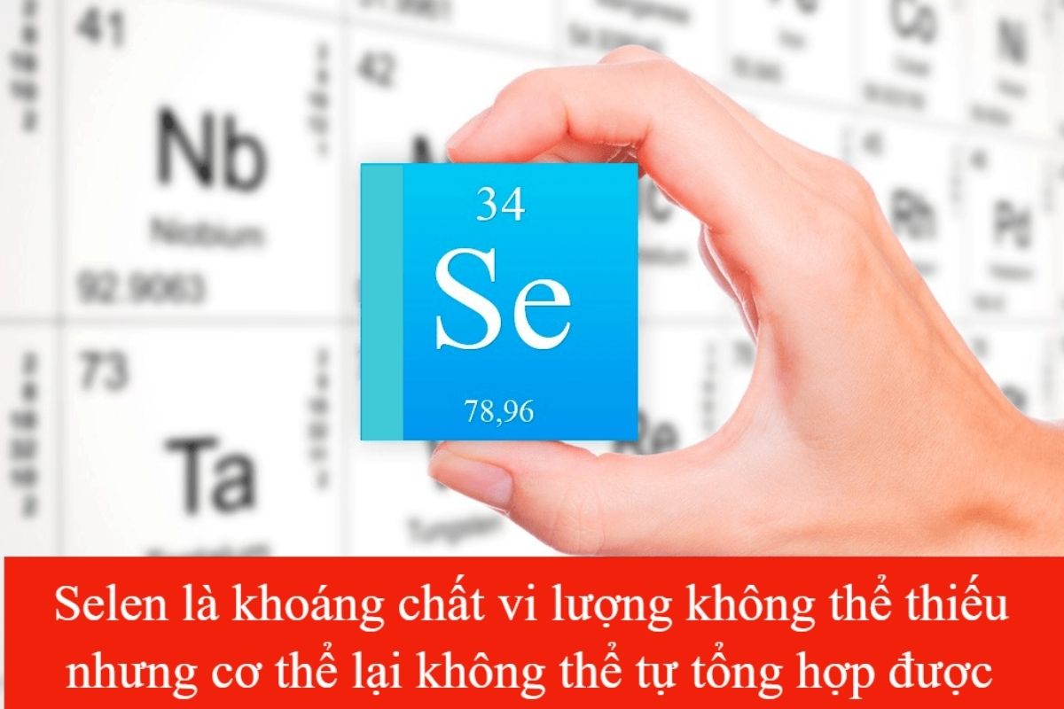 Selen Là Chất Gì