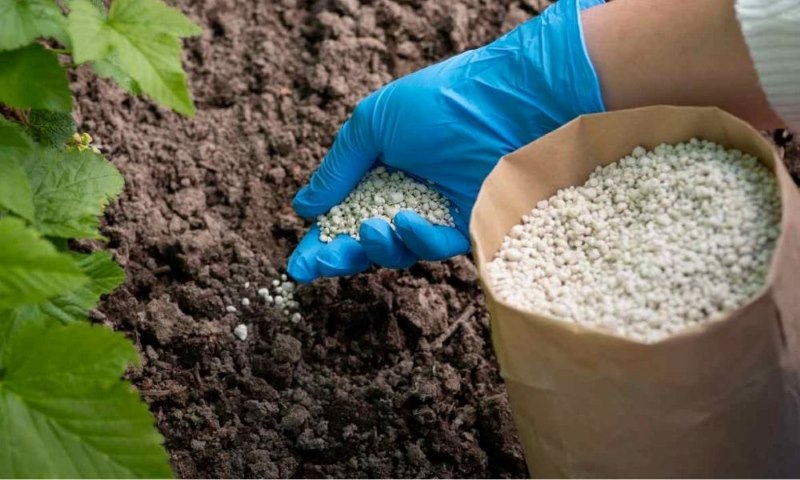 Axit Vô Cơ Và Axit Hữu Cơ