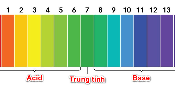 Chất Chỉ Thị Là Gì
