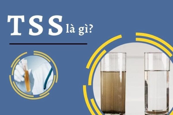 Chỉ Số Tss Là Gì​